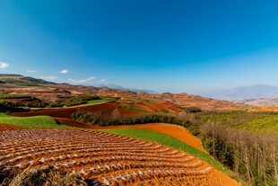 秋日多彩田园风光