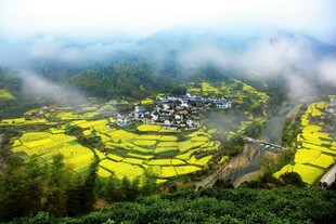 山间梯田油菜花村落美景