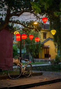 树下夜景
