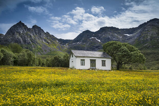 草原上的白色小屋与远山