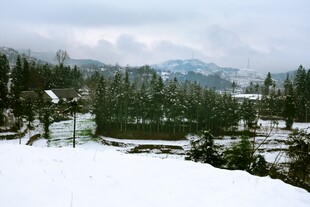 冬日雪景中的山林景观
