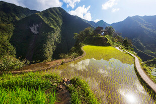 山间梯田美景