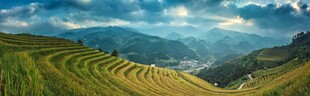 山间梯田美景