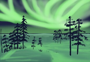 极光下的静谧森林景观