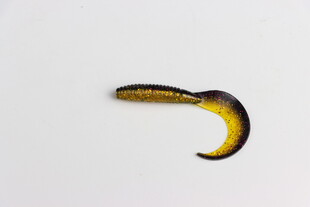弯曲的黄黑双色蠕虫