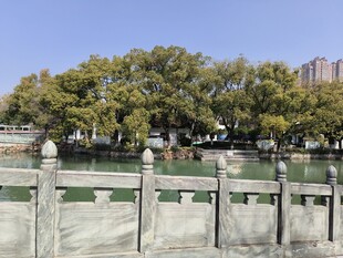 湖畔石栏旁葱郁树木景观