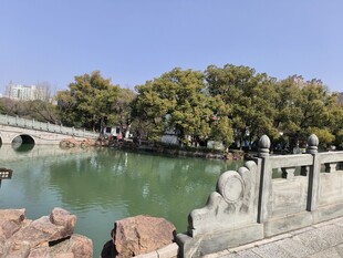 湖畔石桥景 静谧自然美