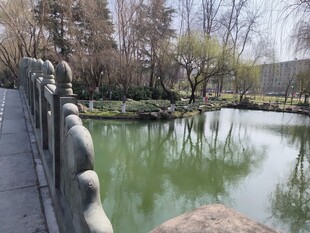 湖畔石桥边的静谧景致