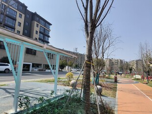 小区内的休闲景观步道