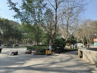 户外休闲广场场景