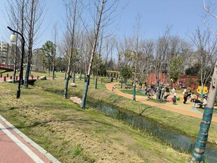 公园春日休闲场景