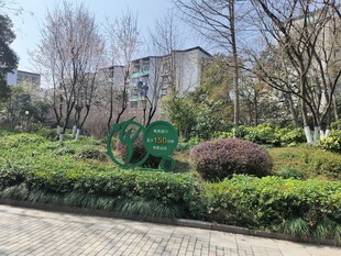 小区绿意盎然景观一角