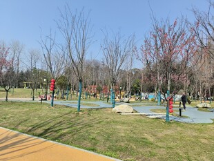 公园中人们享受户外休闲时光