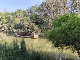 湖畔绿意小船静谧景致