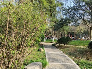 公园幽静小径风景