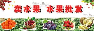 卖水果 水果批发
