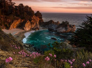 日落海岸边的烂漫花海