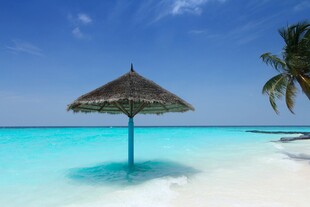 热带海滩遮阳伞海景风光