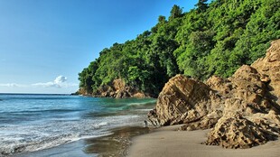 美丽海滨风光