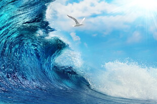 汹涌海浪与翱翔飞鸟