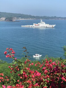 海上游船伴岸边繁花绽放