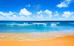 美丽海滨风光