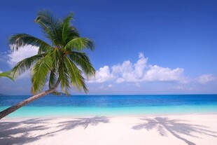 热带海滩美景
