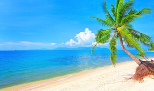 热带海滩风光