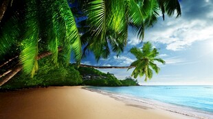 热带海滩风光