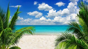 美丽热带海滩风光