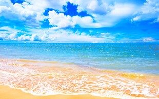 美丽海滨风光