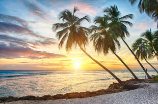 海滩椰树夕阳美景