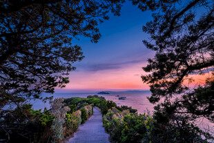 黄昏湖畔林间美景