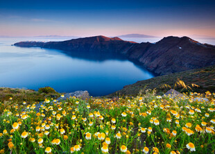 湖畔花海与远山壮丽景致