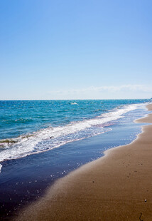 美丽海滨沙滩海浪风景