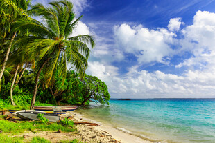 热带海滨美景