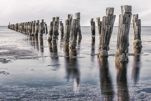 海边木桩倒影风景图