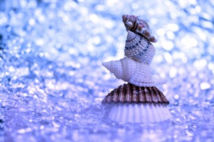 雪中小雪人造型可爱
