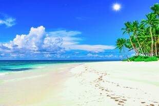 美丽热带海滩风光