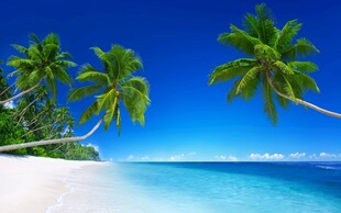 热带海滨美景