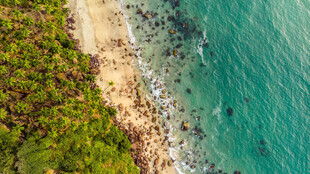 海岸风光