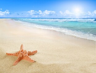 沙滩上的海星与碧海蓝天