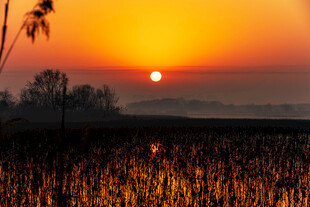 朝阳映照下的湖面美景