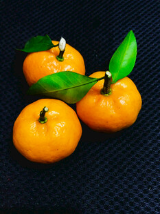 橘子
