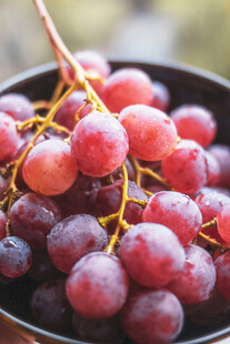 葡萄