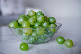 青葡萄