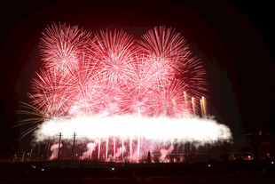 夜空中绚丽绽放的烟花