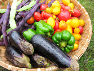 多彩蔬菜盛于竹篮中