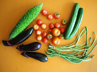 多彩新鲜蔬菜组合