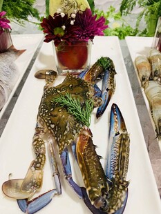 美味大龙虾摆盘精致